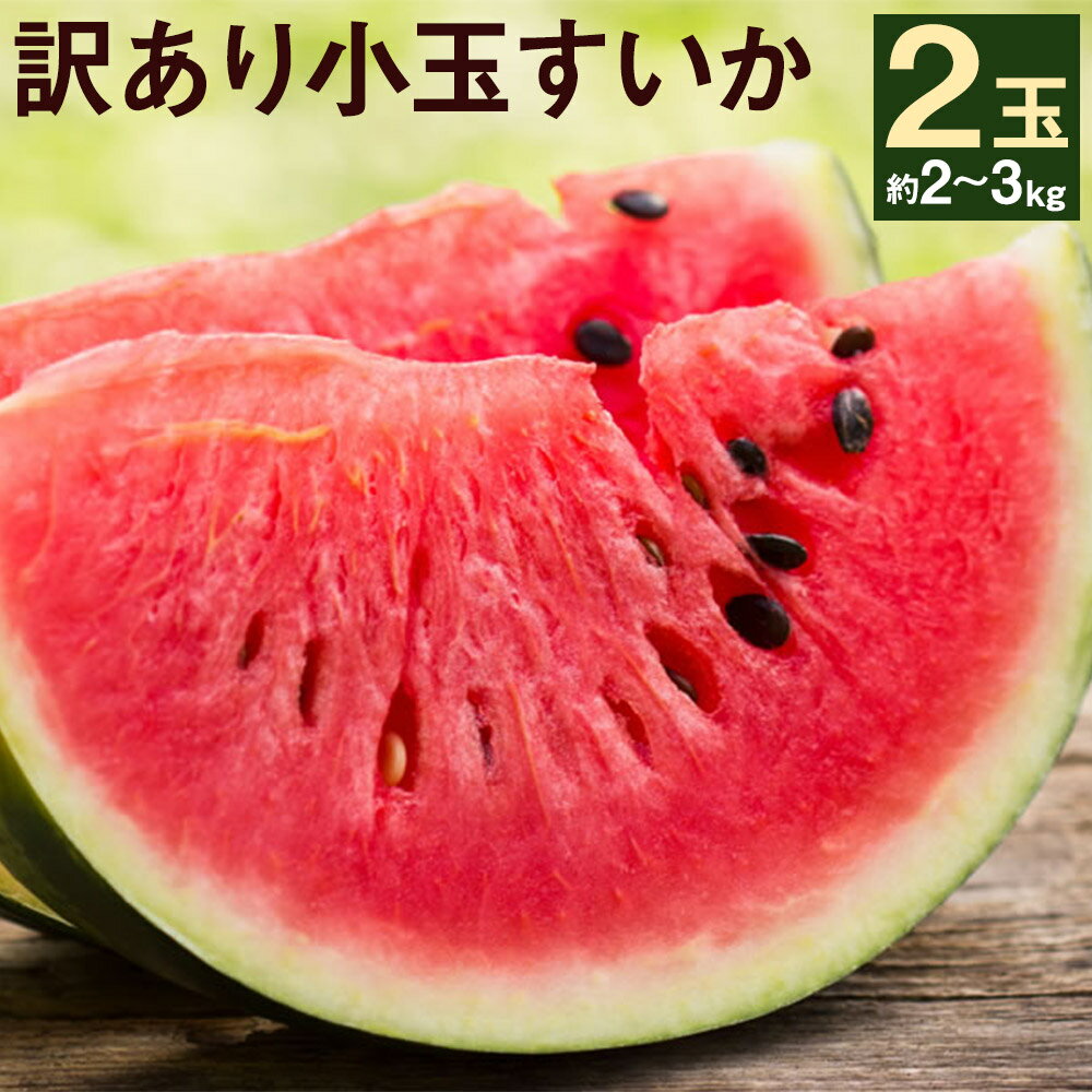 【ふるさと納税】訳あり 小玉すいか 2玉 約2〜3kg M〜3L混合 スイカ 西瓜 果物 夏 フルーツ ご家庭用 菊池市産 熊本県産 九州産 送料無料 《5月下旬-7月下旬頃発送予定》