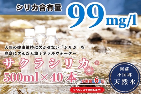 【6回定期便】桜屋 天然水「サクラシリカ」500ml 40本 6回 計240本 定期便 シリカ含有量99mg/L シリカ水 ラベルレス 水 ミネラルウォーター 飲料水 飲料 ペットボトル ナチュラルウォーター サルフェート 炭酸水素イオン ミネラル 国産 阿蘇 小国郷