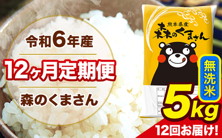 令和6年産 森のくまさん 無洗米 5kg 5kg×1袋 計12回お届け 《お申し込み月の翌月から出荷開始》 お米 こめ 熊本県産 ご飯 備蓄