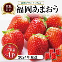 【ふるさと納税】【 期間限定 】 あまおう いちご 1,080g ( 約 270g × 4パック ) 糸島市 / 株式会社HSP-テクノ [AZL001] グランデ 等級 福岡県 12000円