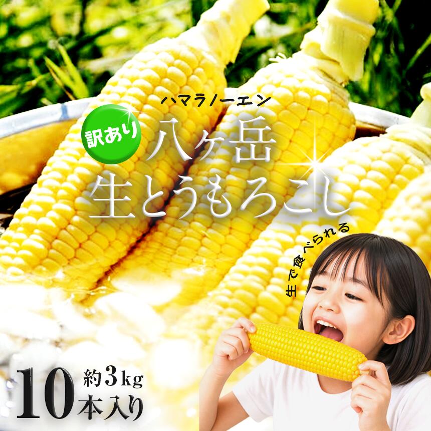 【ふるさと納税】 【訳アリ】 八ヶ岳 生とうもろこし はねだし 10本 ( 約3kg )【2026年7月中旬～発送】| 訳あり とうもろこし 生 トウモロコシ 野菜 新鮮 極上 信州 八ヶ岳 長野県 諏訪郡 原村