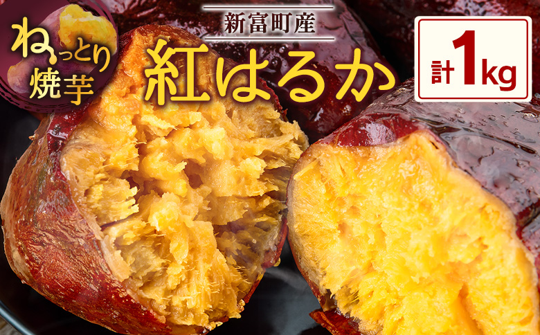 特製焼き芋！熟成蜜芋「紅はるか」計1kg 国産 新富町産 さつまいも ねっとり焼芋 イモ