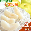 【ふるさと納税】 梨 二十世紀梨 約3kg (5～9玉入り) 旬菜まるや 《9月中旬-10月上旬頃出荷》 鳥取県 八頭町 送料無料 なし 二十世紀 果物 フルーツ お取り寄せ 3kg