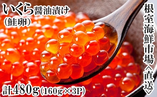 B-14012 【12/10まで年内配送】 ＜計480g＞いくら醤油漬け(鮭卵)160g×3P