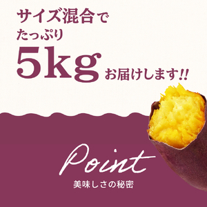 丹波ふるさと村の紅はるか 5ｋｇ（サイズ未選別） | 兵庫県 丹波篠山市 さつまいも サツマイモ さつま芋 甘い ホクホク 焼き芋 焼芋 焼いも おいしい 美味しい ねっとり 天ぷら ポテト