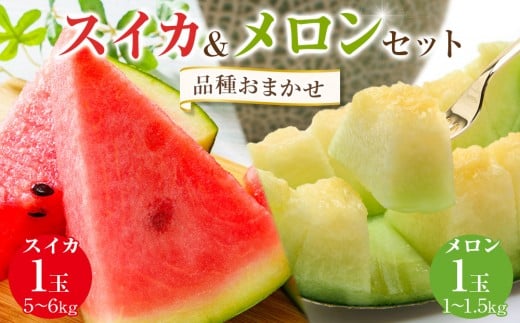 252.【先行予約】【品種はおまかせ】スイカ(5～6kg×1玉)＋メロン(1～1.5kg前後×1玉)セット鳥取県産 ※6月上旬～7月下旬頃に順次発送予定（こちらの返礼品は、大栄西瓜ではありません）【西瓜 スイカ メロン セット商品  果物 フルーツ くだもの 鳥取県 北栄町 おすすめ 人気 送料無料】