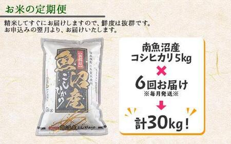 【令和7年産新米】【定期便】新潟県 南魚沼産 コシヒカリ お米 5kg×計6回 精米済み 半年 毎月発送 （お米の美味しい炊き方ガイド付き）【2025年10月中旬より順次発送予定】