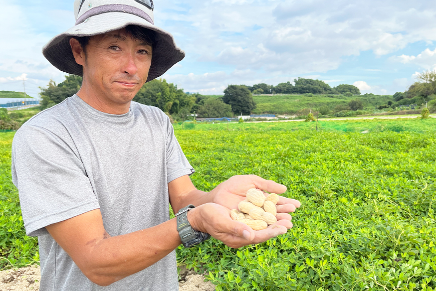 ＜10月より発送＞【朝採り】新・奇跡のジャンボ生落花生「たかや１号」約２kg