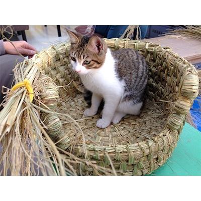 ふるさと納税 甲賀市 信楽産 稲わら製 【猫ちぐらB】 |  | 02