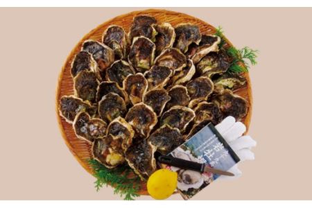 かき 【九十九島 岩牡蠣】 かき 3.5kg （小夏） A165