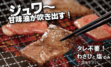 【定期便】佐賀牛 A5 焼肉・しゃぶしゃぶすき焼き 厳選部位 合計800g（400g x 各1P）6回定期 計4.8kg(800gx6)  Q126-003 桑原畜産 小分け ブランド牛 黒毛和牛 牛