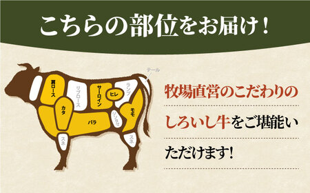 【牧場直送】【6回定期便】佐賀県産しろいし牛 1頭まるごと定期便2 【有限会社佐賀セントラル牧場】[IAH033]