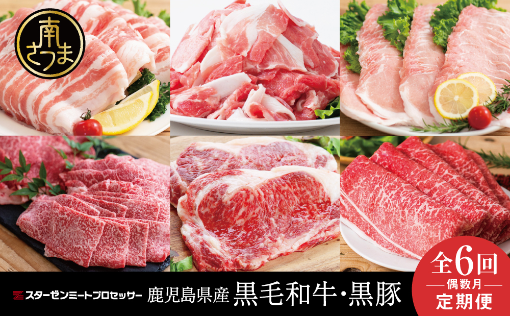 【定期便 全6回】スターゼン厳選 お肉の定期便（鹿児島県産黒毛和牛・黒豚） 牛肉 豚肉 サーロイン ステーキ 切り落とし しゃぶしゃぶ 焼肉 すき焼き もも モモ バラ ロース スライス 小分け 定期