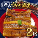 【ふるさと納税】紀州備長炭焼き 特大 うなぎ 蒲焼き(国産)【鰻 ウナギ 丑の日 土用 蒲焼き 関西風 冷凍】