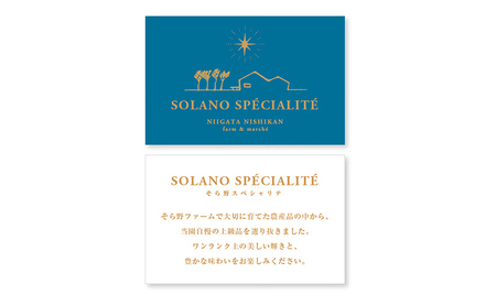 いちご 越後姫 SOLANO SPECIALITE【2027年2月下旬～5月末お届け】9～15粒 苺 イチゴ 果物類 果物 フルーツ 新潟市