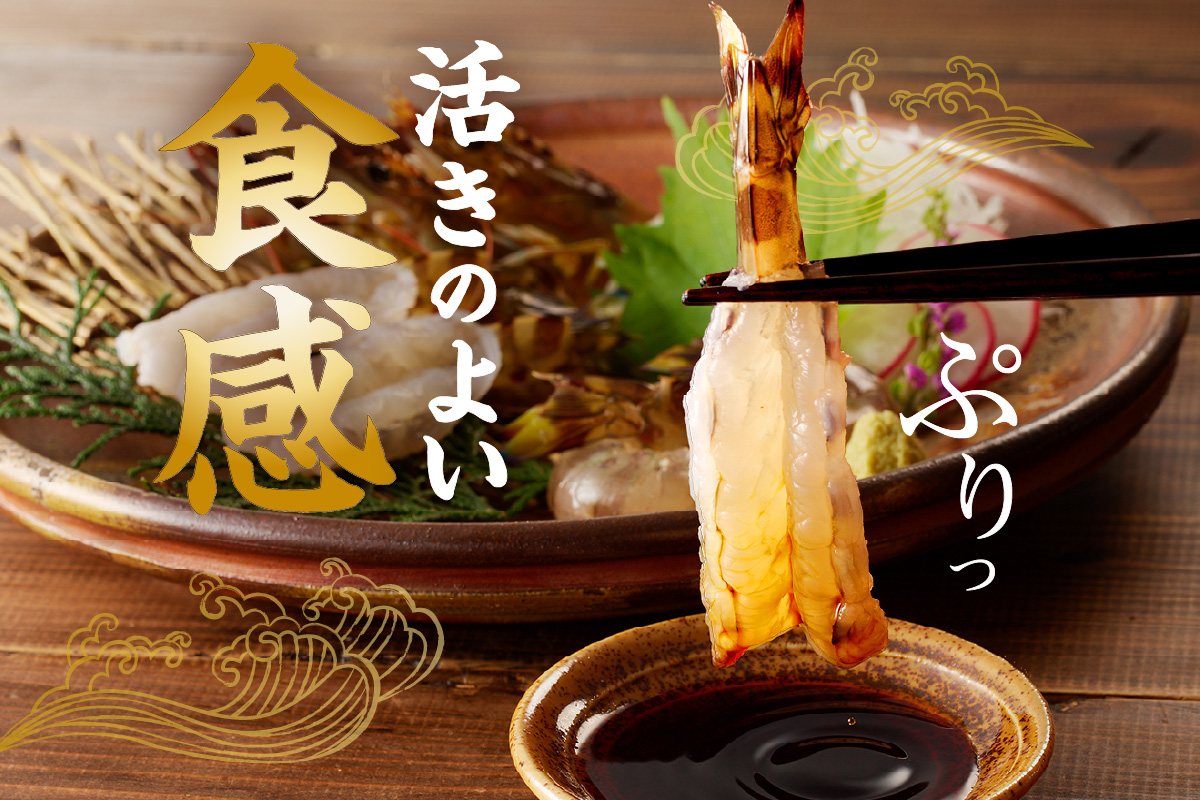 活車海老 1kg 指定日可能【数量限定 先行予約】（12月1日から配送開始） 010-C180