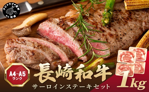 【A4〜A5】長崎和牛サーロインステーキセット 1kg(250ｇ×4枚)( 肉 牛肉 牛 長崎和牛 国産牛 サーロイン ステーキ ステーキ肉 お取り寄せ プレゼント ギフト 送料無料 人気 美味しい 返礼品 おすすめ )【D0-034】