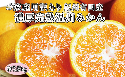 
【ご家庭用訳アリ】紀州有田産濃厚完熟温州みかん　7.5kg　※2024年11月下旬頃〜2025年1月下旬頃に順次発送予定(お届け日指定不可)
