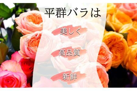 バラの花束 50本（赤バラ）