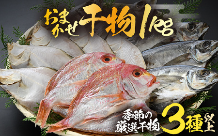 【数量限定】漁場手作り干物 季節の厳選おまかせセット 約1kg 3種以上【詰め合わせ 冷凍 干物セット 人気 アジ カレイ レンコ鯛 あじ ?油漬け カマス ハタハタ ふぐ ひもの 冷凍干物 お取り寄