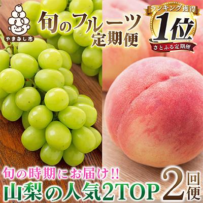 ふるさと納税 山梨市 【発送月固定定期便】2026年発送 山梨フルーツ旬の果物 桃+シャインマスカット 全2回