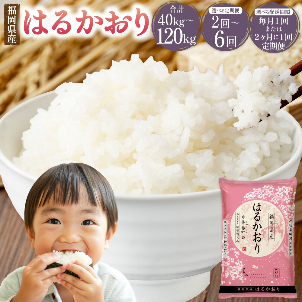 【ふるさと納税】はるかおり 20kg ＜選べる回数＞ 【1ヶ月毎 2回 ／ 3回 ／ 4回 ／ 5回 ／ 6回 定期便】 【2ヶ月毎 2回 ／ 毎3回 定期便】 ／ 米 コメ お米 ご飯 ごはん 白ご飯 精米 おこめ 常温 福岡県 香春町 送料無料