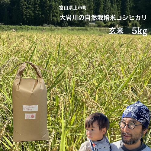 【ふるさと納税】米 大岩川の自然栽培米コシヒカリ 玄米 5kg [有吉自然農場 富山県 上市町 32280207-r6] お米 コメ ご飯 ごはん こしひかり 自然栽培米 富山県産