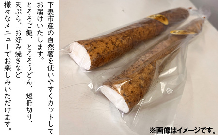 自然薯 約500g(カット済)【※重量（約500g）に合わせてお届け】【2024年12月～2025年3月ごろ発送予定】【 じねんじょ とろろ 山芋 自然薯下妻 自然薯茨城 自然薯とろろ 自然薯人気 自