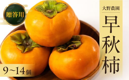 [先行予約／令和8年産／2026年10月上旬～発送予定]《早い甘柿》大野農園の早秋柿 (12～14個入)  Ｌサイズ 2Ｌサイズ [mt1557_26]
