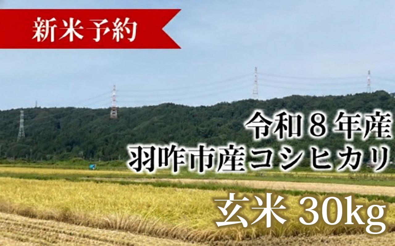 
                  【令和8年産】 新米予約 こしひかり 玄米 30kg 1袋 「 おうち米 」 数量限定 能登のこしひかり 2026年産 コシヒカリ 石川県産 羽咋市産 こだわり 農薬 使用 減 米 お米 こめ コメ 予約 こだわり R8  ご飯 ごはん 送料無料 数量 限定 先行予約 穀倉地帯 美味しい お米 ごはん ふるさと納税 能登 石川 羽咋 はくい 復興支援
                