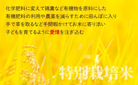 【令和5年産】【6ヶ月定期便】こしひかり 30kg × 6回 計 180kg【玄米】減農薬・減化学肥料 「特別栽培米」－地球にやさしいお米－[O-003006]