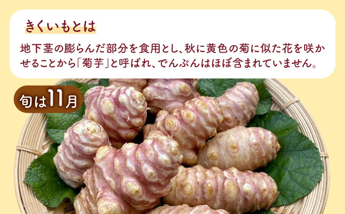 【全6回定期便】焙煎 築上きくいも茶 3g×15包 《築上町》【合同会社豊築マルシェモンステラ】 菊芋 お茶 [ABBZ018] 28000円  28000円 