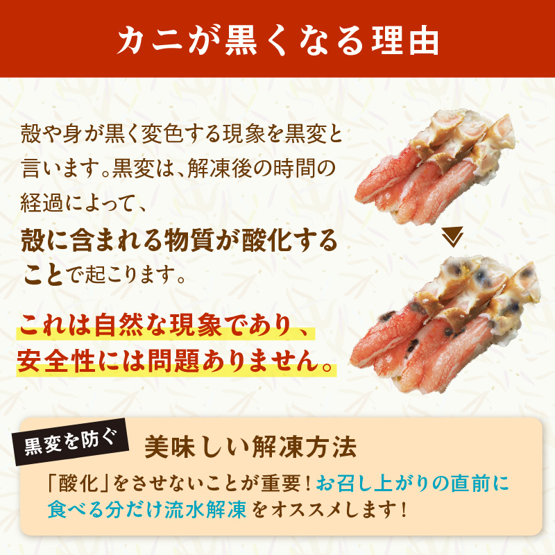 北見市加工 生冷本ズワイガニセット 800g 昆布入 ( 海鮮 魚介類 魚介 蟹 かに カニ セット 鍋 カニ鍋 カニ爪 ズワイガニ かにしゃぶ カット済 贈答 ギフト )【094-0050】