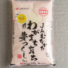 果物屋さんが選んだ米「夢つくし」5kg(那珂川市)