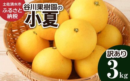 【 令和８年4月発送】<訳あり>谷川果樹園の小夏3kg 日向夏 みかん 柑橘 フルーツ こなつ ニューサマーオレンジ  果物 美味しい ワケあり 訳 自宅用 おやつ  高知 【R01146】