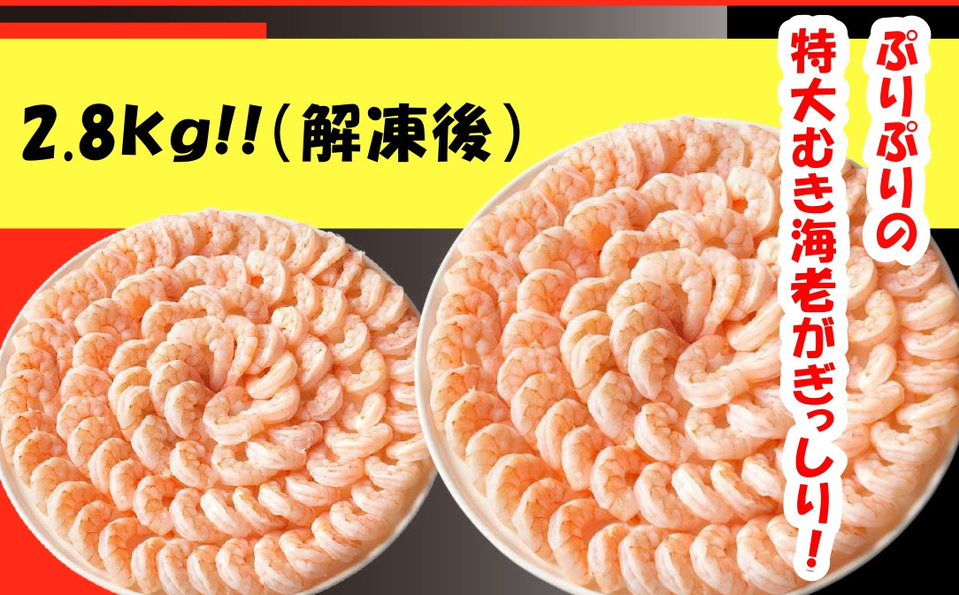 
                  【G0648】特大ムキエビ2.8kg
                