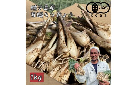 たねがしま らっきょう 誠農園 ( 種子島  有機 JAS 根つき 生らっきょう) 1kg　NFN583【250pt】 // 有機栽培 オーガニック 安心・安全 栄養価が高い 健康食材 甘酢 キムチ等の漬物 天ぷら