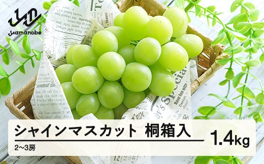 
                  【先行予約】シャインマスカット 秀品 桐箱入り1.4kg 令和8年産 2026年産 果物 ※沖縄・離島への配送不可  mm-busmk3
                