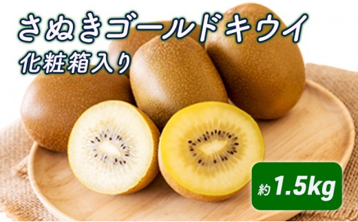 
                  さぬきゴールドキウイ　化粧箱（約1.5kg）_キウイフルーツ 果物詰合せ くだもの 
                
