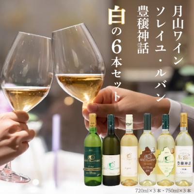 ふるさと納税 庄内町 食の都庄内 月山ワイン 白ワイン 6本セット 750ml 720ml 白 辛口 やや辛口 ワイン