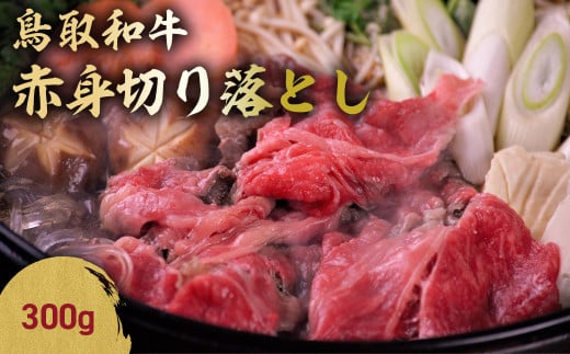 鳥取和牛 赤身切り落とし 300g 切り落とし 牛肉 国産 和牛 黒毛和牛 肉 赤身 ブランド牛 国産牛 鳥取県 倉吉市 KR1039