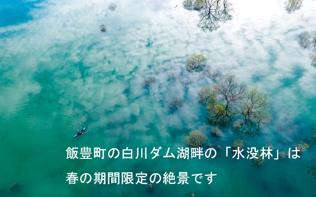 絶景 水没林カヌープレミアムツアー（10名様）癒しの自然満喫プレミアムアクティビティ　※3月下旬から5月下旬