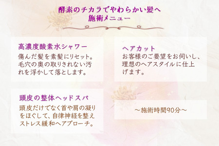 「疲れの癒しは頭皮から」ご利用券 ヘッドスパ 高濃度酸素水 ヘアカット 所要時間90分 ヘアケア 自律神経 ストレス解消 肩こり改善 リラクゼーション ヘアスタイル 美容室 素髪 ストレス緩和 癒し時