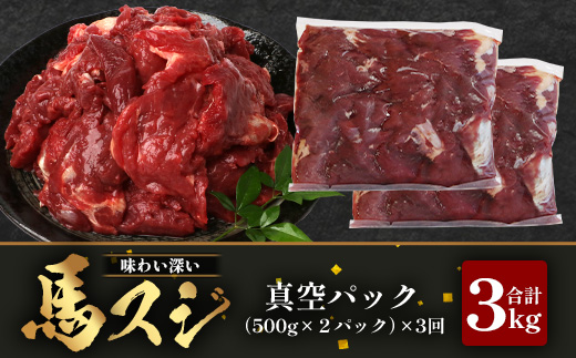 【 定期便 3回 】 熊本県 馬スジ 1㎏（ 500g×2 ） × 3回 【 合計 3kg 】 【 馬肉 すじ肉 大容量 本場 熊本県 馬 赤身 煮込み カレー シチュー 冷凍 真空 熊本 肥育 ヘル