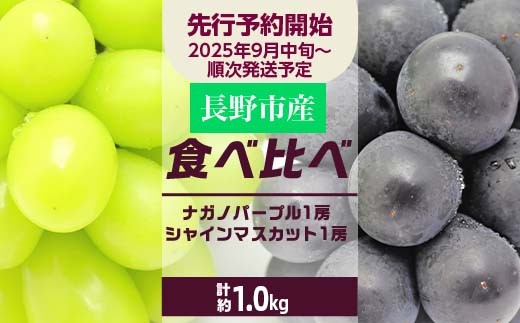 
            J0687食べ比べ「ナガノパープル&シャインマスカット」約1.0kg入【2025年9月以降発送予定】(さらしな青果) フルーツ ぶどう 葡萄 ブドウ 果物 人気 種なし 新鮮 期間限定 令和7年 2025年発送 おすすめ 産地 お届け 長野市 長野県
          