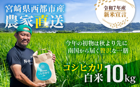 【令和7年産新米・先行予約】こしひかり 10kg　※8月上旬以降順次発送予定＜2.4-8＞