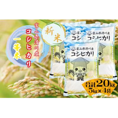 ふるさと納税 滑川市 滑川産コシヒカリ(令和8年産新米/精米)20kg