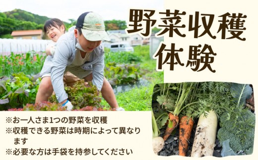 【年末年始特別プラン】餅つき＆野菜収穫体験（1組10名）