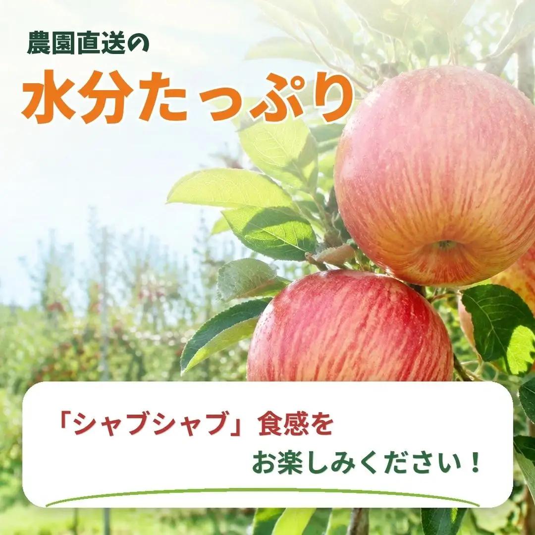しなのスイート 家庭用 約3kg| りんご りんご
