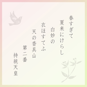 だんらん香具山 特大缶 (57袋入) [1566]